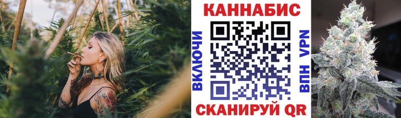 Купить наркоту Избербаш Марихуана Псилоцибиновые грибы Гашиш