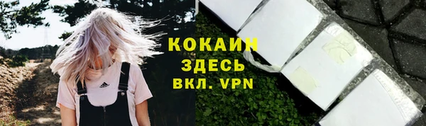 apvp Бородино