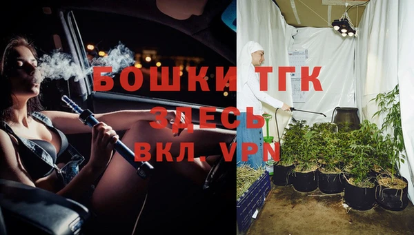 бошки Бронницы